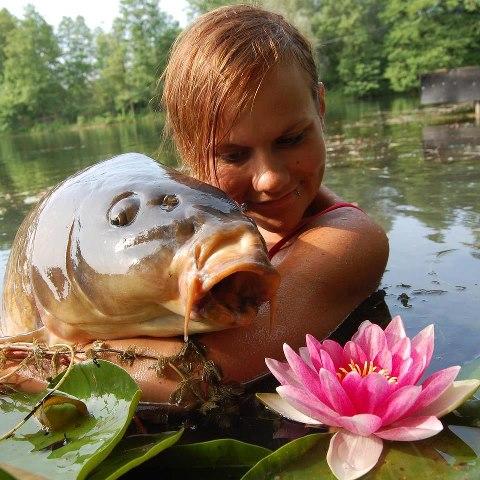 talent si frumusete - 306274298370326958571906500649n.jpg